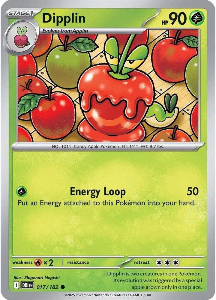 Dipplin Common Regular DRI 017/182 NM