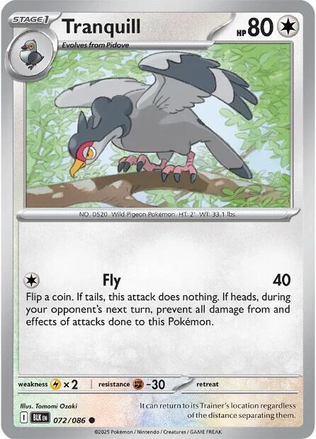 Tranquill Common Regular BLK 072/086 NM