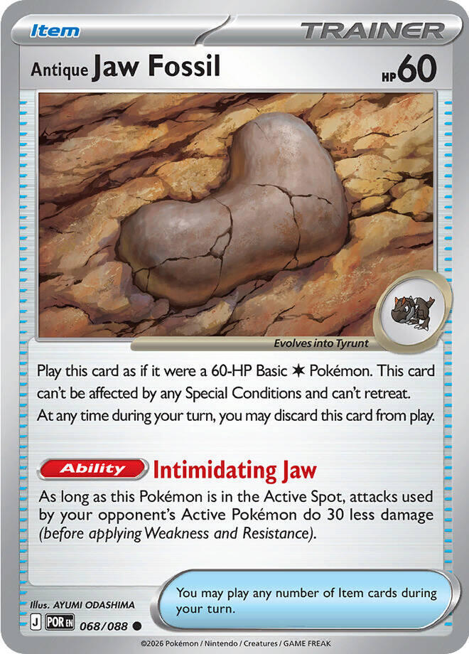 Antique Jaw Fossil Common Regular POR 068/088 NM