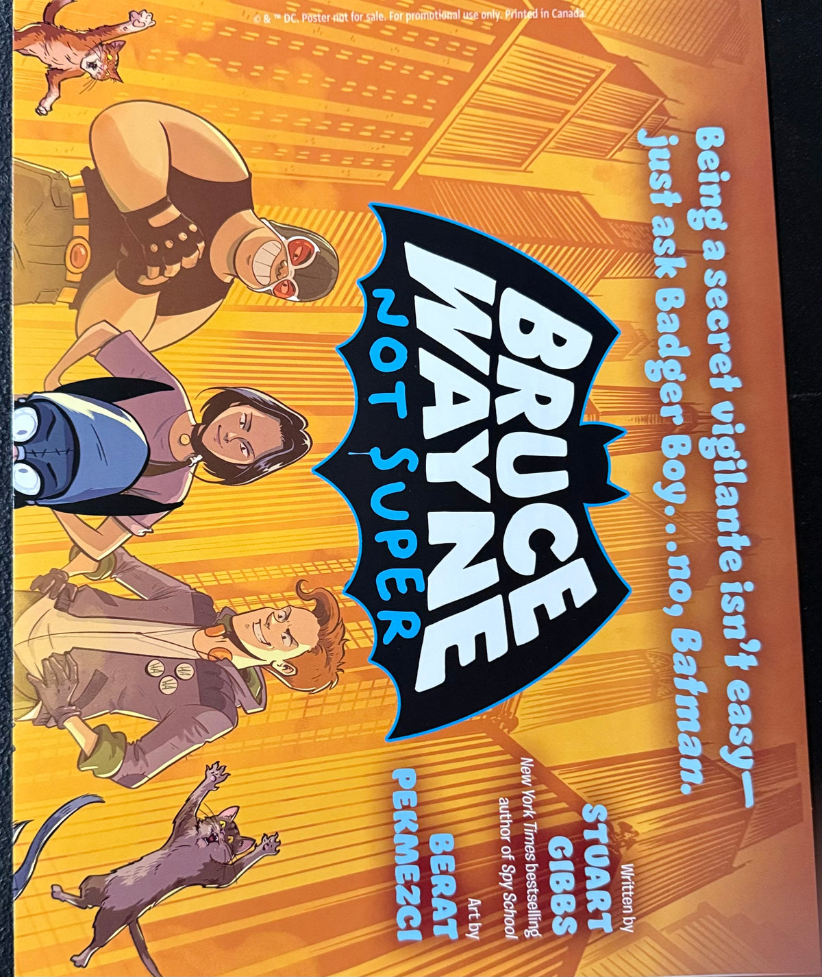 Bruce Wayne Not Super Promo Poster (Retailer Exclusive)