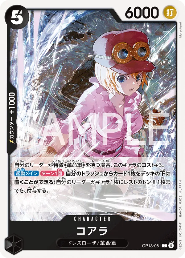 Koala Common OP13 081 NM