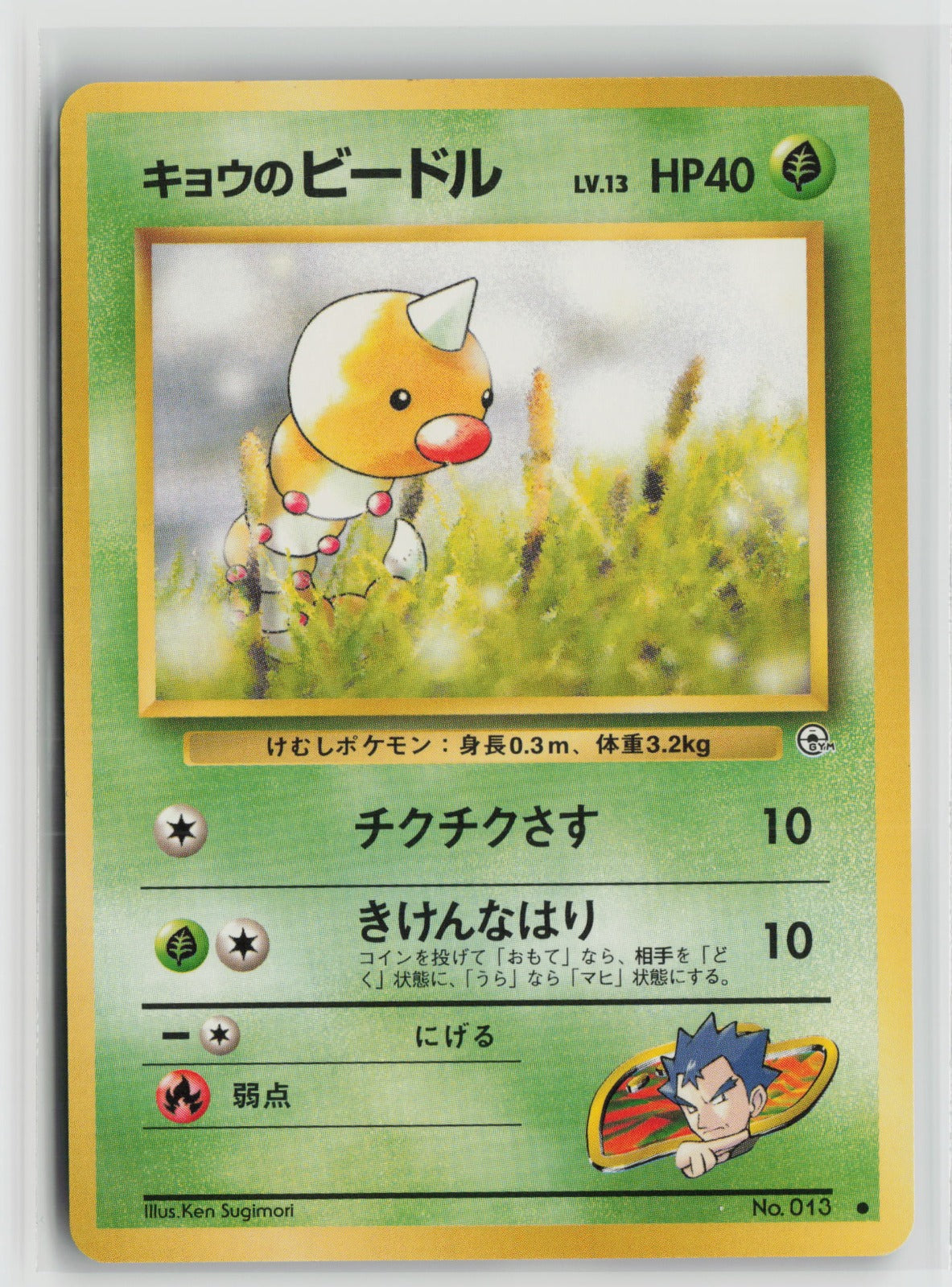 Koga's Weedle Common NM
