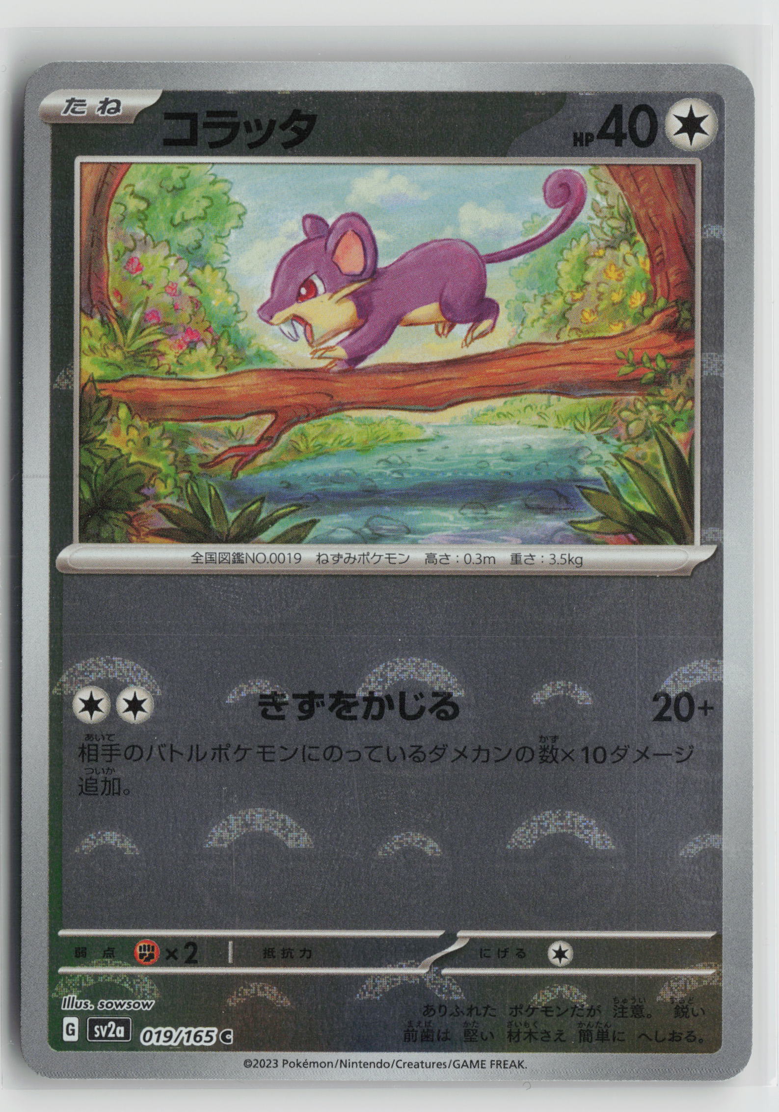 Rattata (Poke Ball Pattern) Common SV2a: Pokemon Card 151 019/165 NM