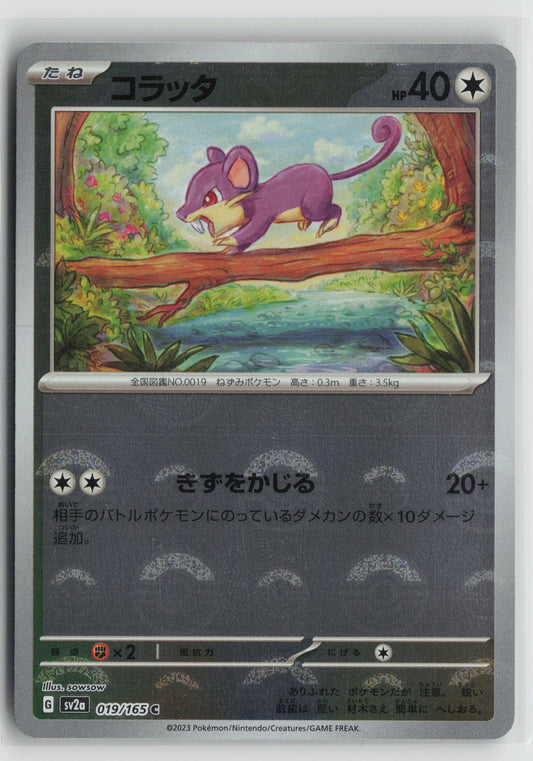 Rattata (Poke Ball Pattern) Common SV2a: Pokemon Card 151 019/165 NM