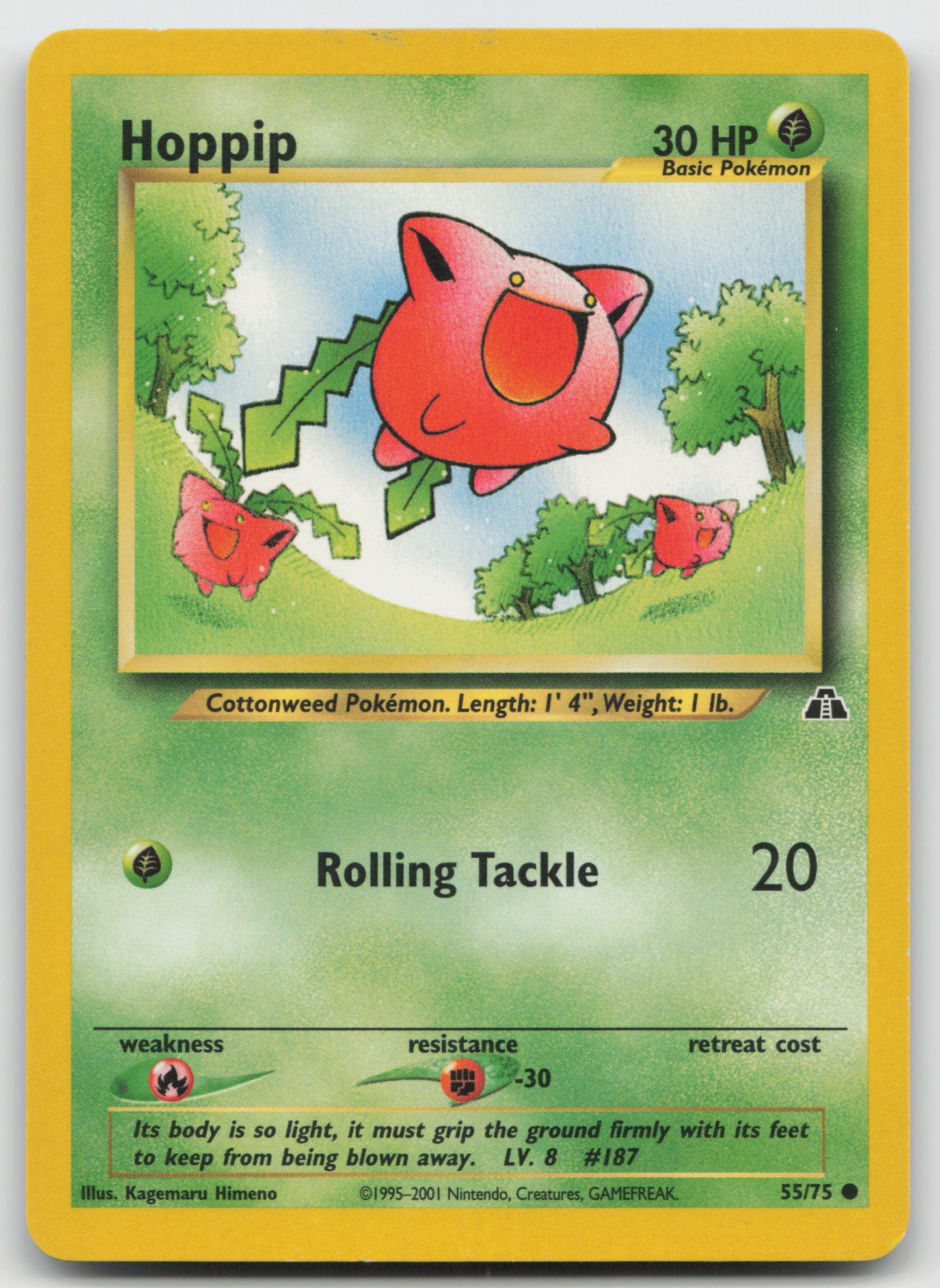 Hoppip Common Neo Discovery 55/75 LP