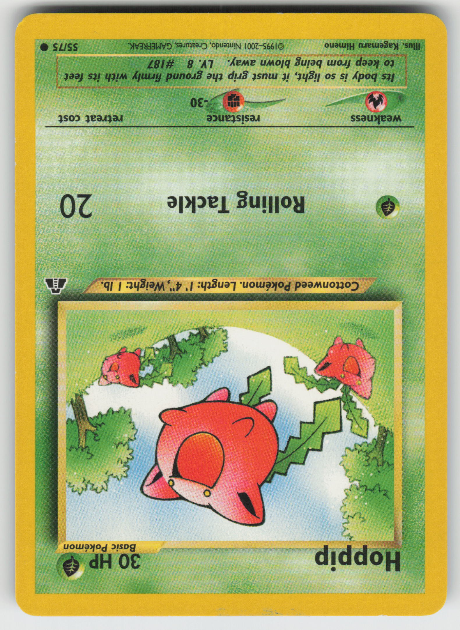 Hoppip Common Neo Discovery 55/75 LP