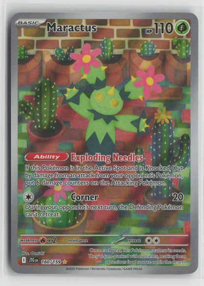 Maractus Illustration Rare Holo JTG 160/159 NM