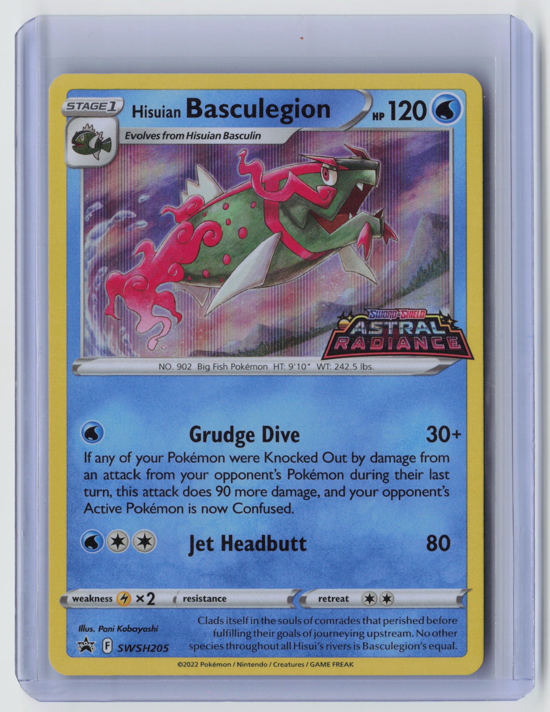 Hisuian Basculegion - Promo SWSH: Sword & Shield Promo Cards SWSH205 NM