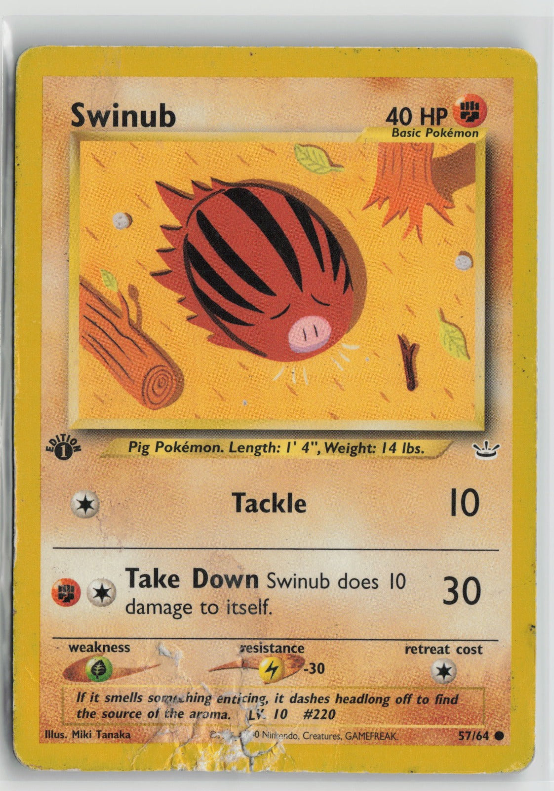 Swinub Common 1st Edition N3 57/64 HP