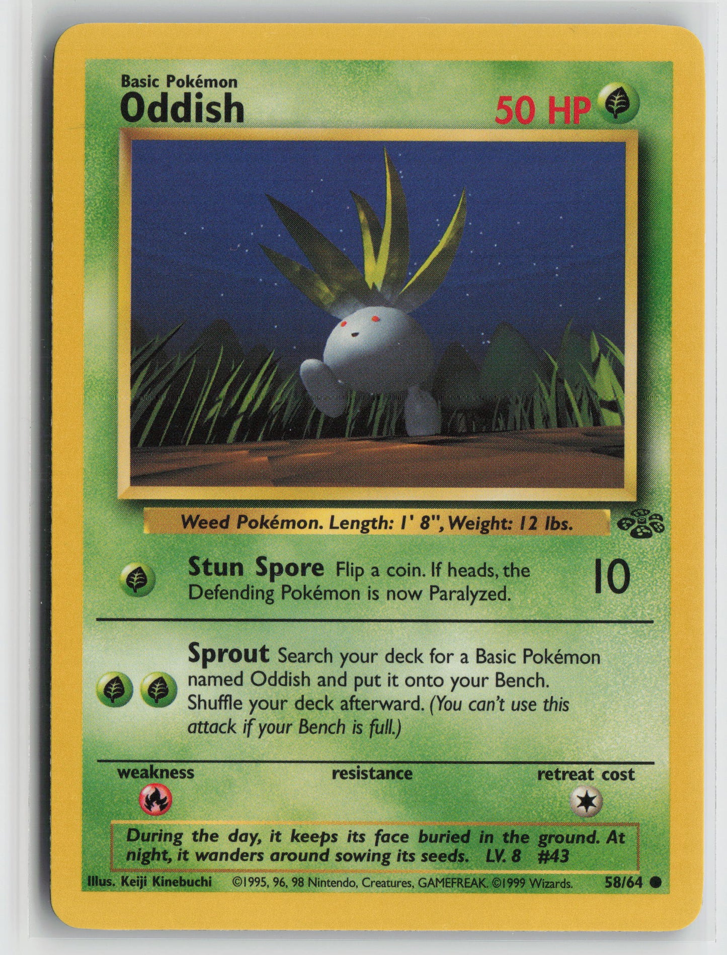 Oddish Common Jungle 58/64 LP