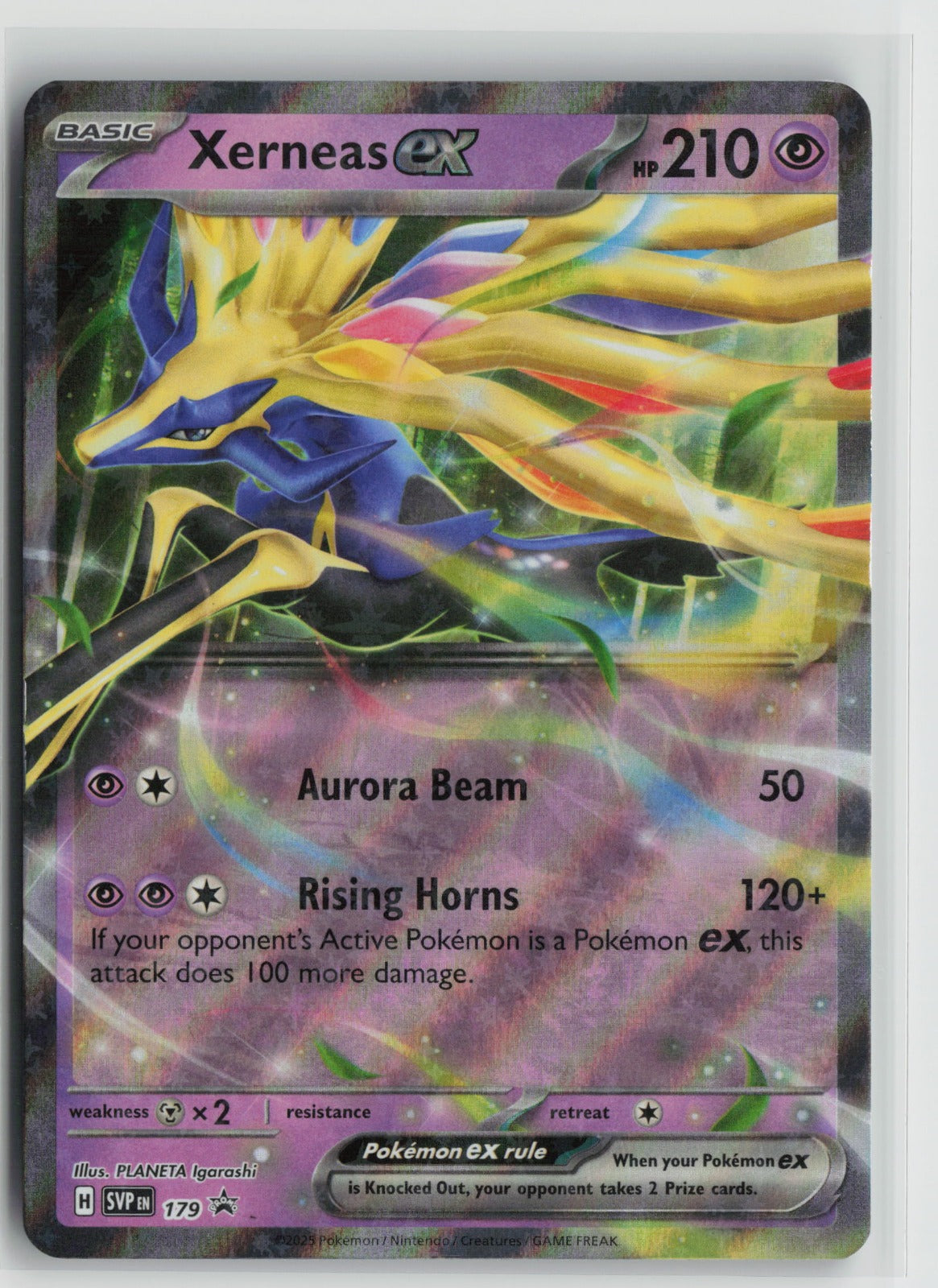 Xerneas ex Promo Holo SVP 179 NM