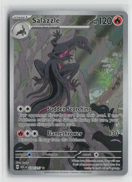 Salazzle Illustration Rare Holo ASC 224/217 NM
