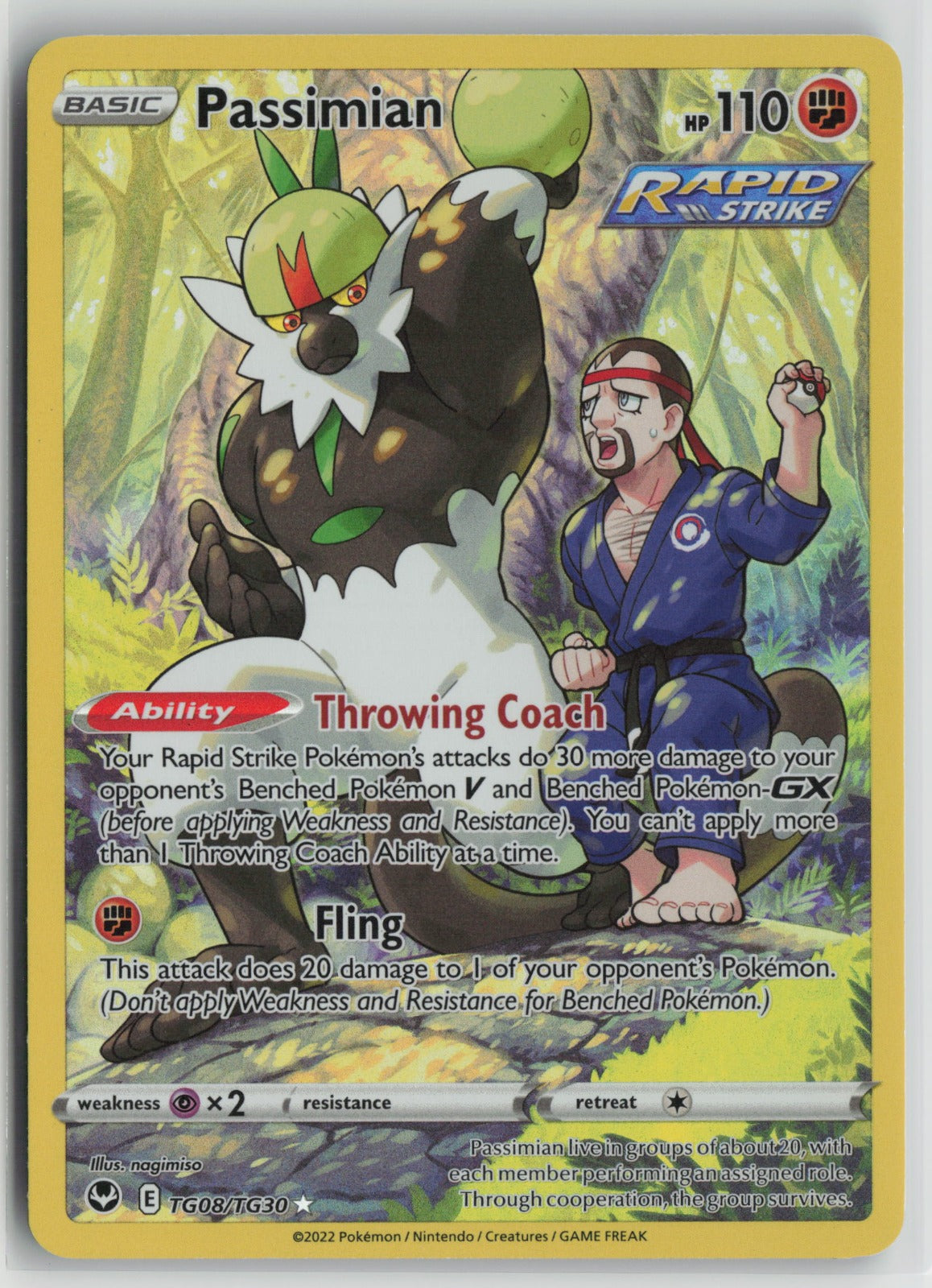 Passimian Ultra Rare Holo SWSH12: TG TG08/TG30 NM