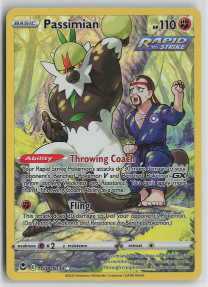 Passimian Ultra Rare Holo SWSH12: TG TG08/TG30 NM