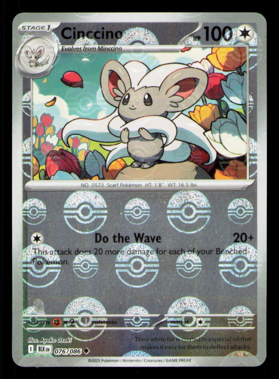 Cinccino (Poke Ball Pattern) Uncommon Holo BLK 076/086 NM