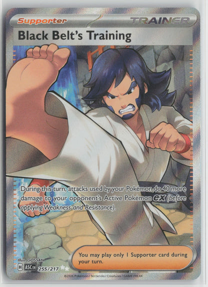 Black Belt's Training Ultra Rare Holo ASC 255/217 NM