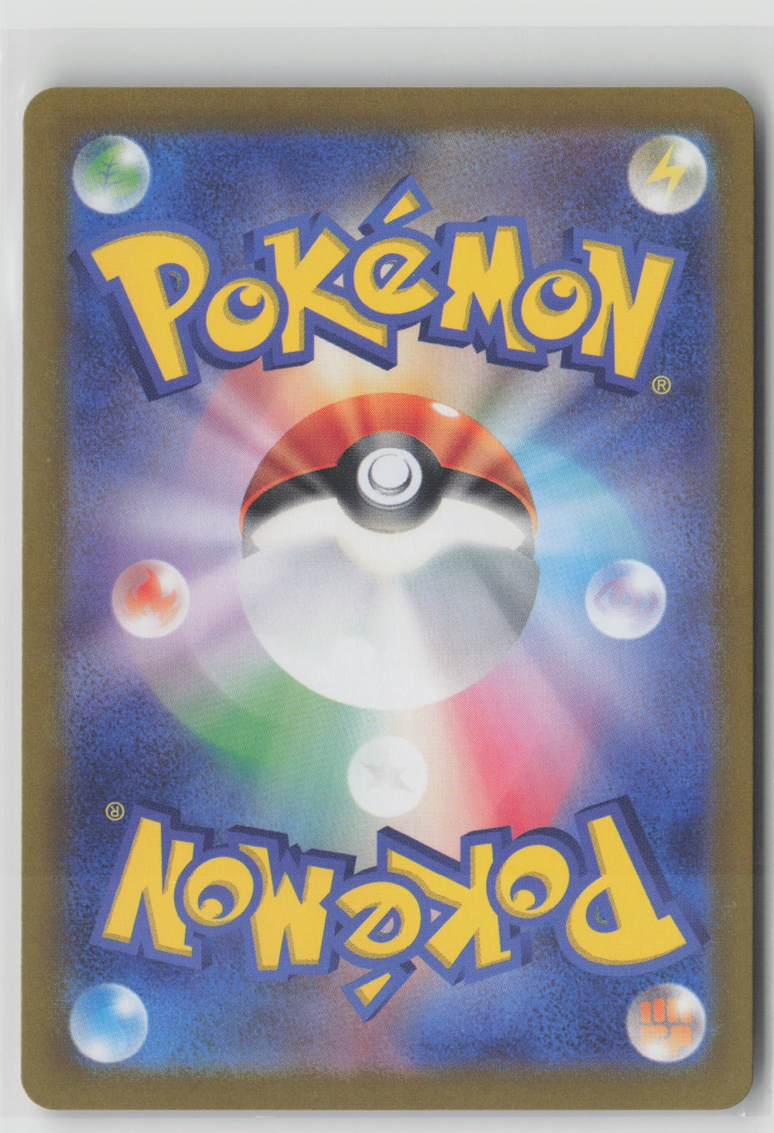 Squawkabilly ex Double Rare Holo SV2P 065/071 NM (Back)