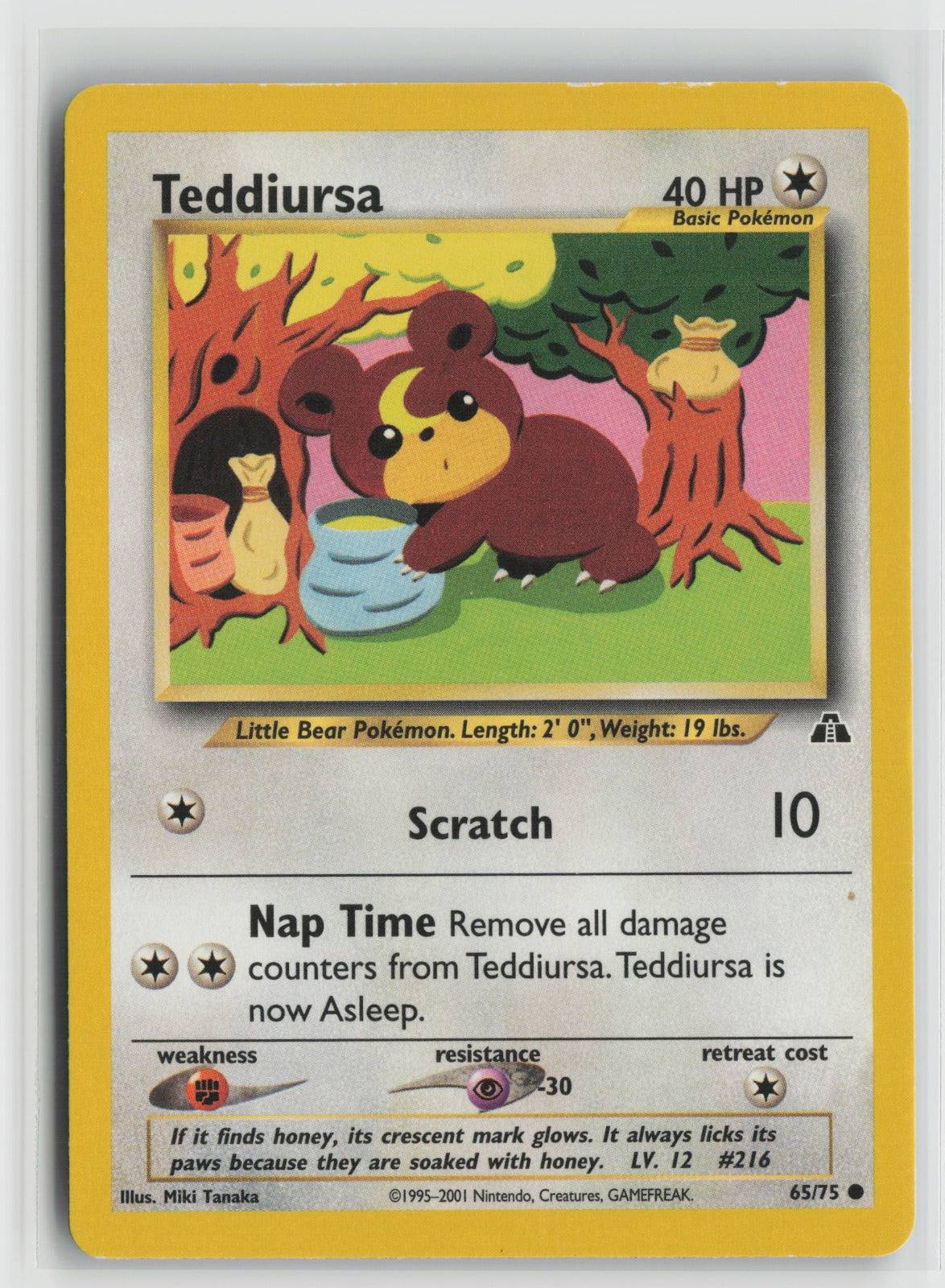 Teddiursa Common Unlimited N2 65/75 MP