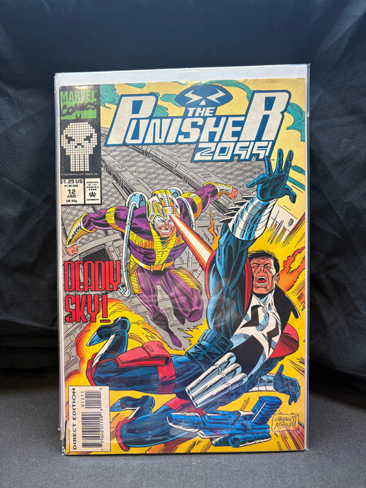 The Punisher 2099, Deadly Sky! - #12