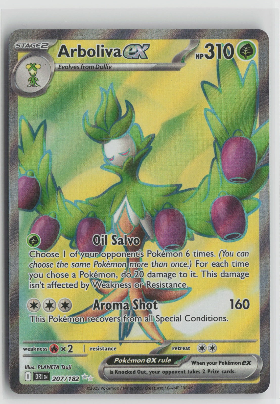 Arboliva ex Ultra Rare Holo DRI 207/182 NM