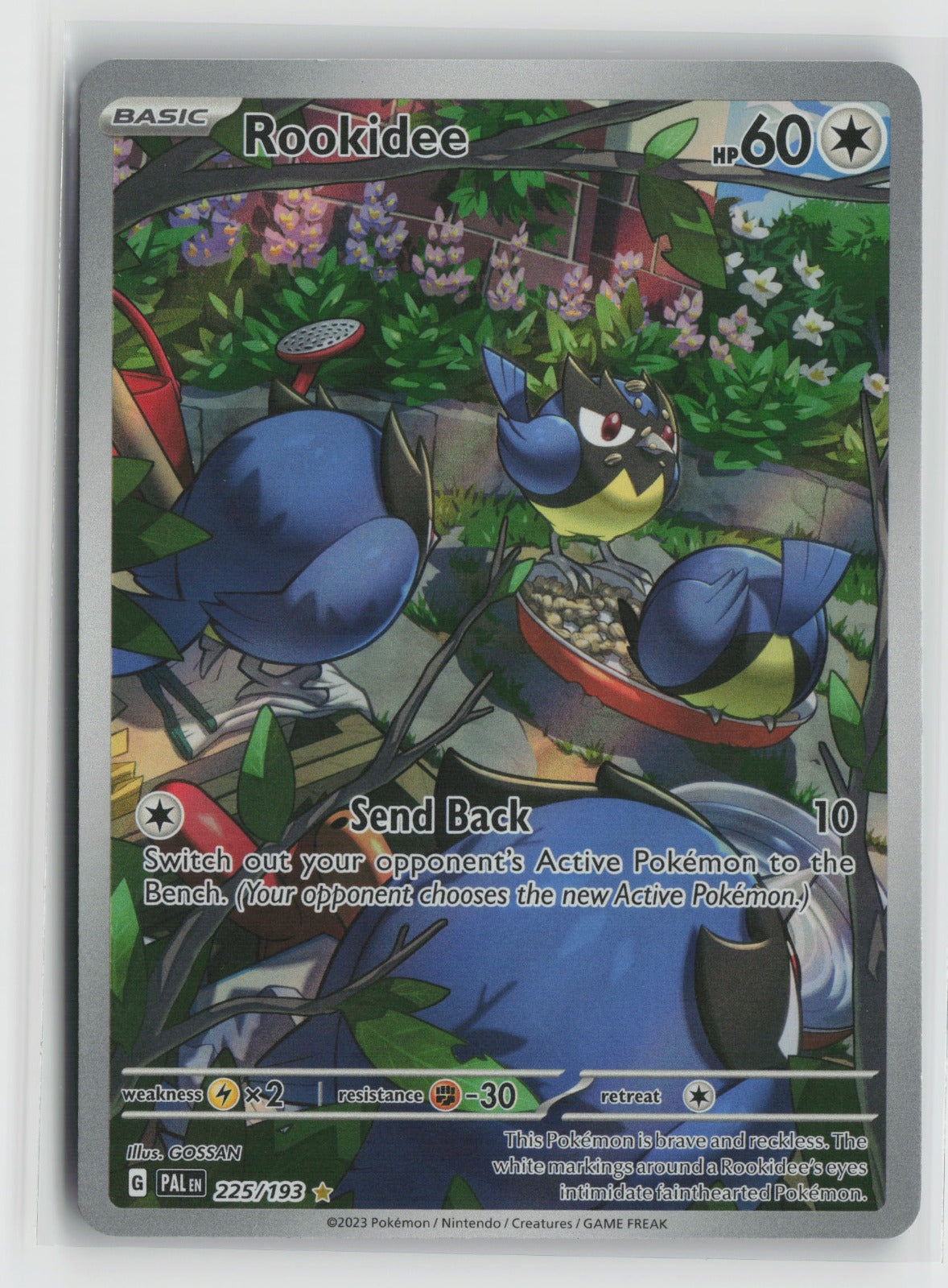 Rookidee - Illustration Rare Holo PAL 225/193 NM