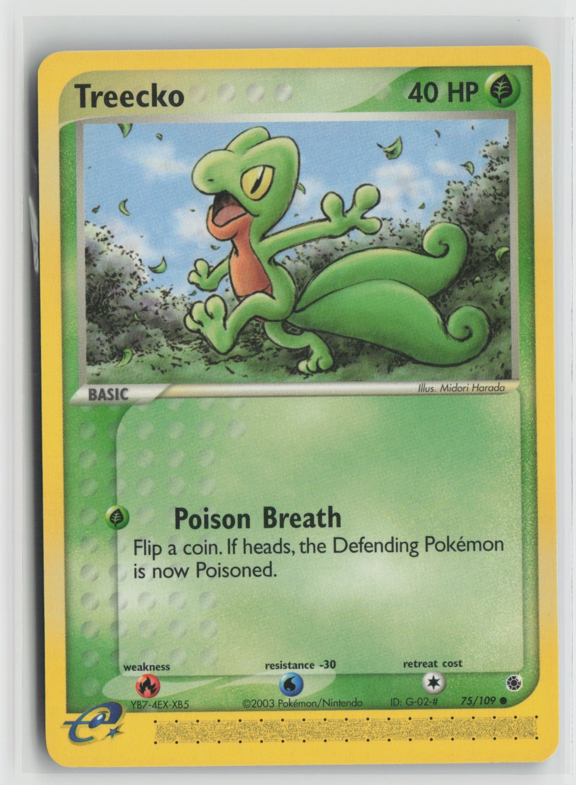 Treecko - Common RS 75/109 MP