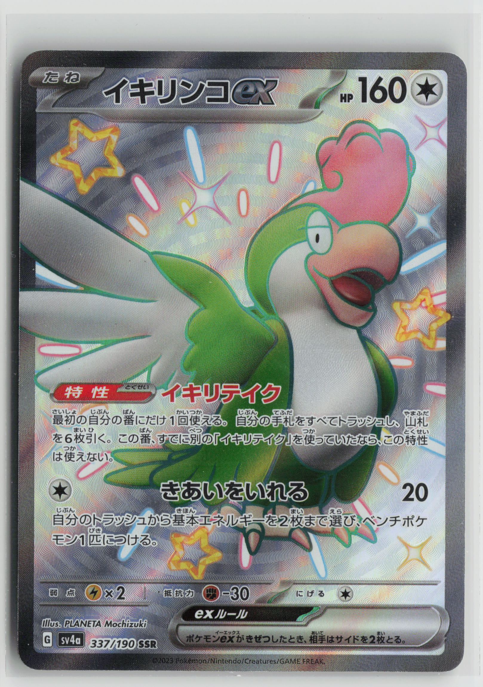 Squawkabilly ex - Shiny Secret Rare SV4a: Shiny Treasure ex 337/190 NM