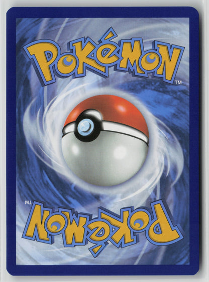 Tornadus - Promo Holo SVP 210 NM (Back)
