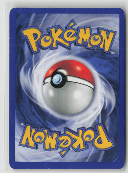 Venusaur Promo Holo PR 13/53 NM (Back)