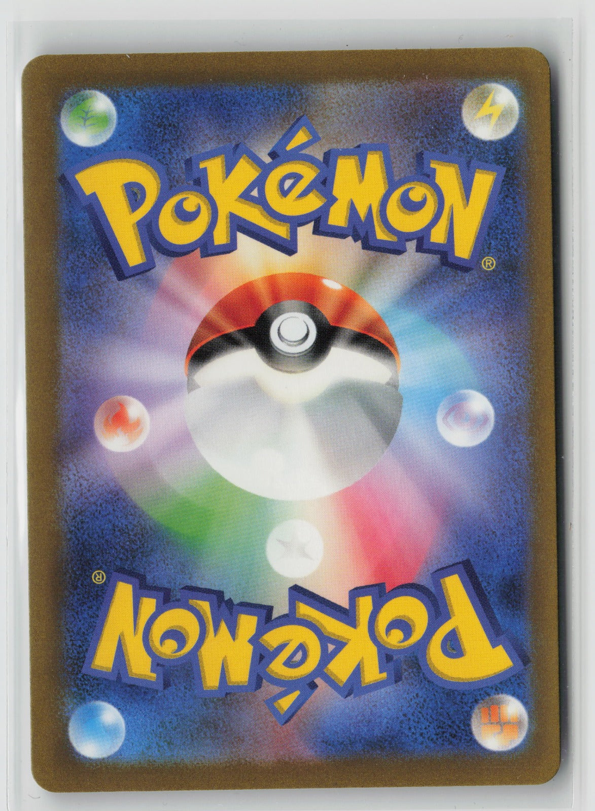 Skwovet - Shiny Rare Holo SV4a 313/190 NM (Back)