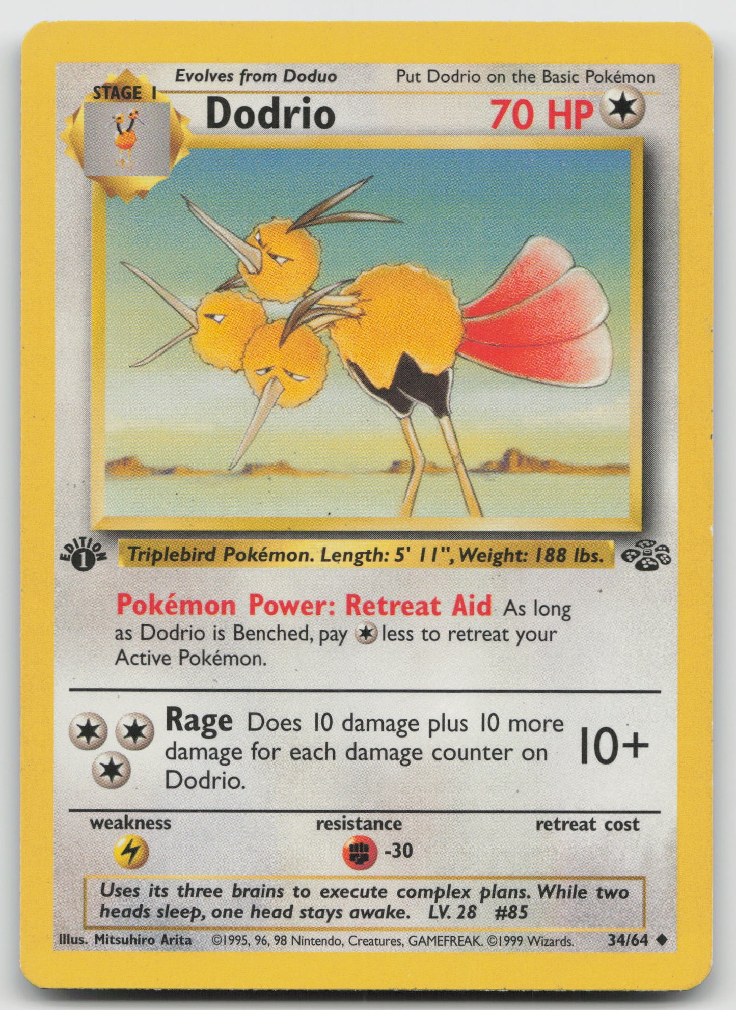 Dodrio Uncommon 1st Edition JU 34/64 LP