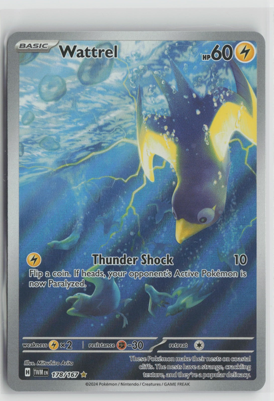 Wattrel - Illustration Rare Holo TWM 178/167 NM