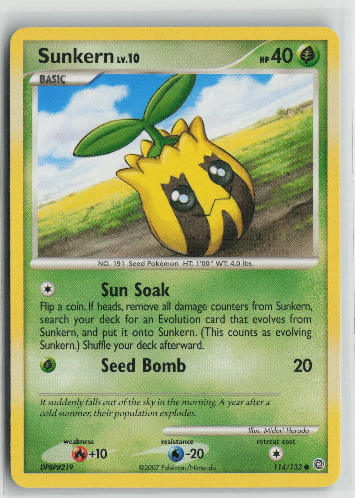 Sunkern Common SW 114/132 NM