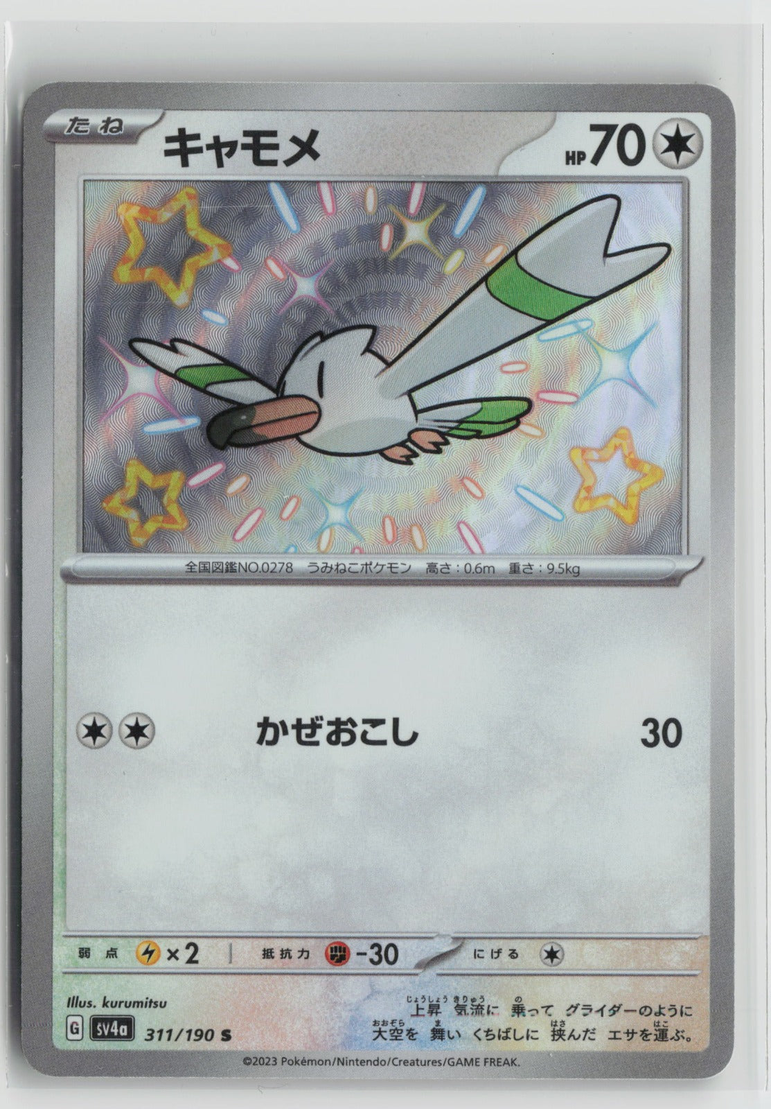 Wingull - Shiny Rare Holo SV4a 311/190 NM