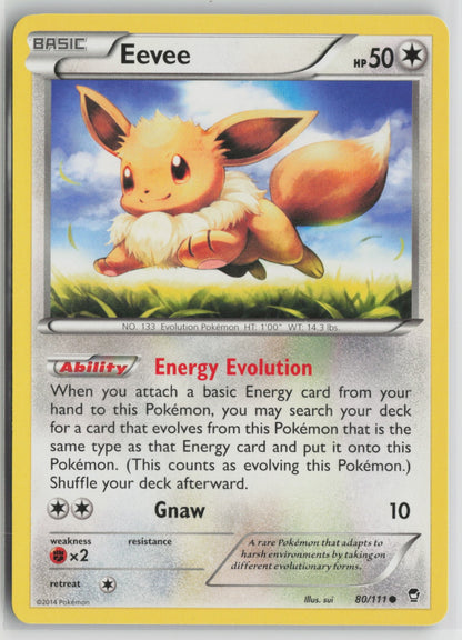 Eevee Common FFI 80/111 LP