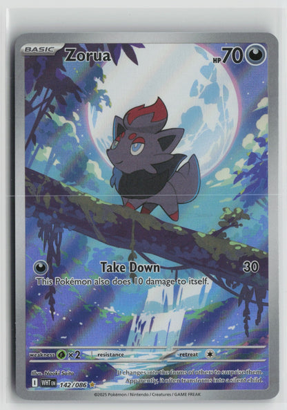 Zorua - Illustration Rare Holo WHT 142/086 NM
