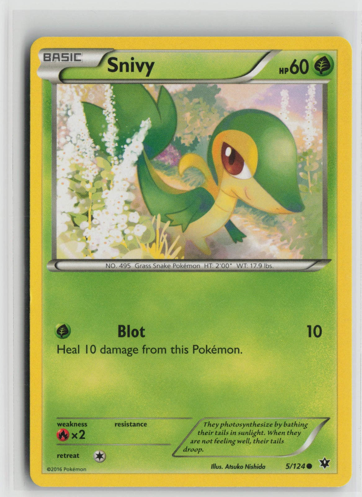 Snivy Common FCO 5/124 LP