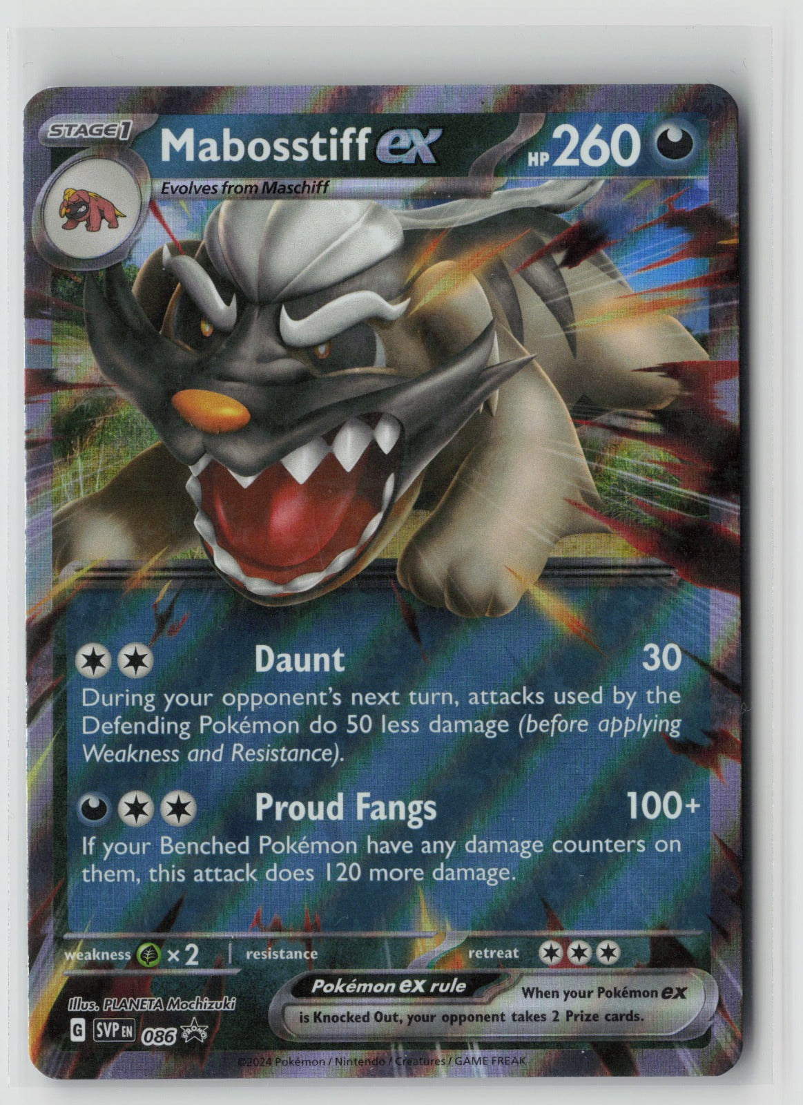 Mabosstiff ex - Promo Holo SVP 086 NM
