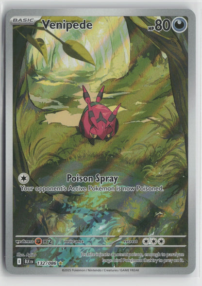 Venipede Illustration Rare Holo BLK 132/086 NM