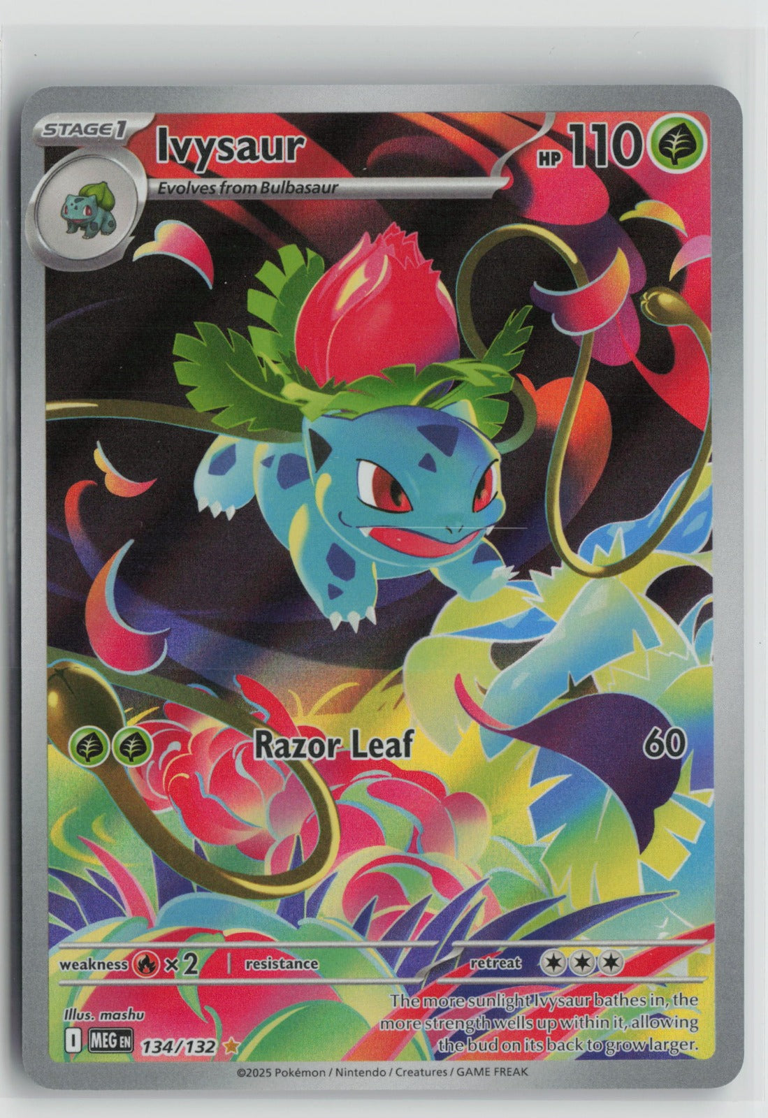 Ivysaur - Illustration Rare Holo MEG 134/132 NM