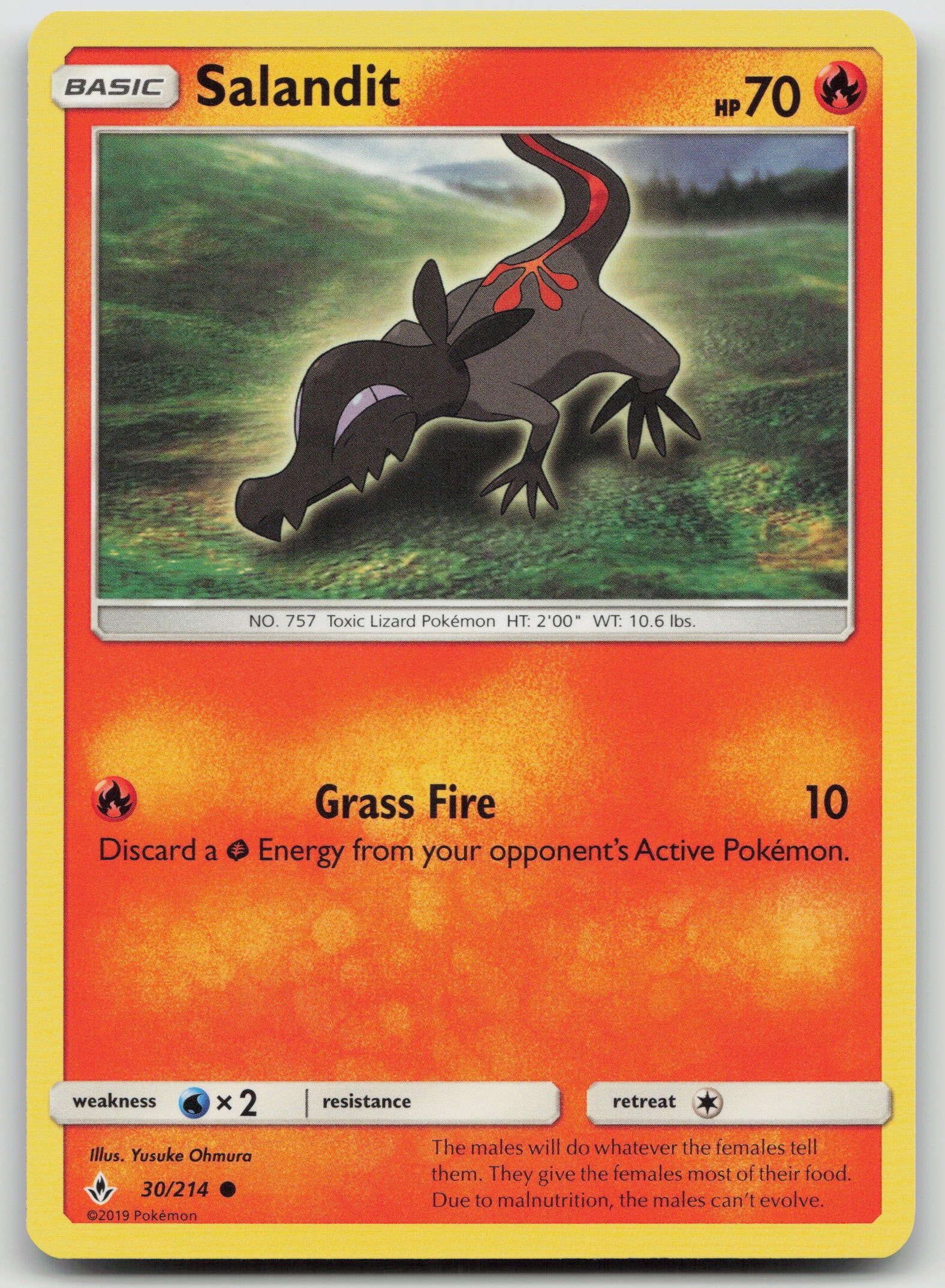 Salandit Common Normal SM10 30/214 NM