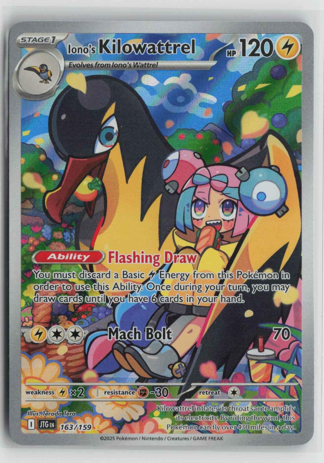 Iono's Kilowattrel - Illustration Rare Holo JTG 163/159 NM