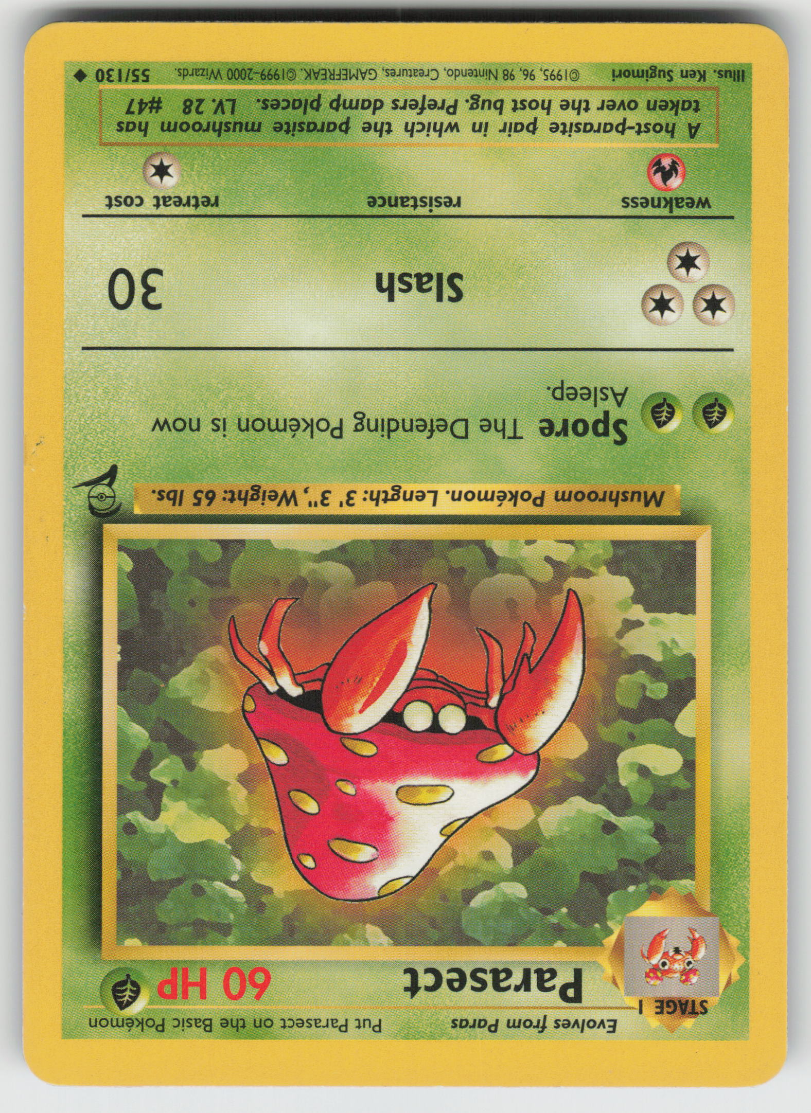 Parasect Uncommon Base Set 2 055/130 LP