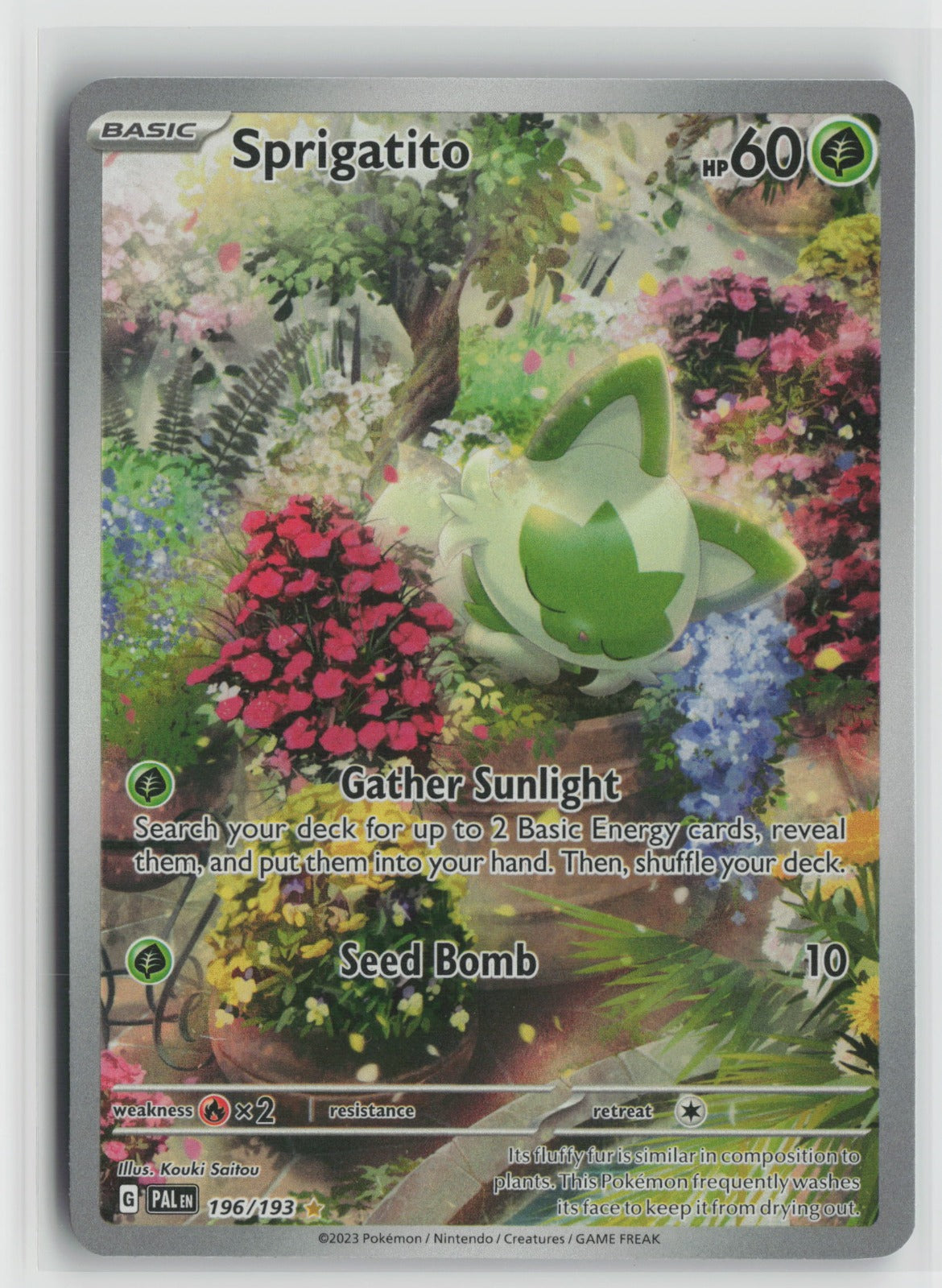 Sprigatito - Illustration Rare Holo PAL 196/193 NM
