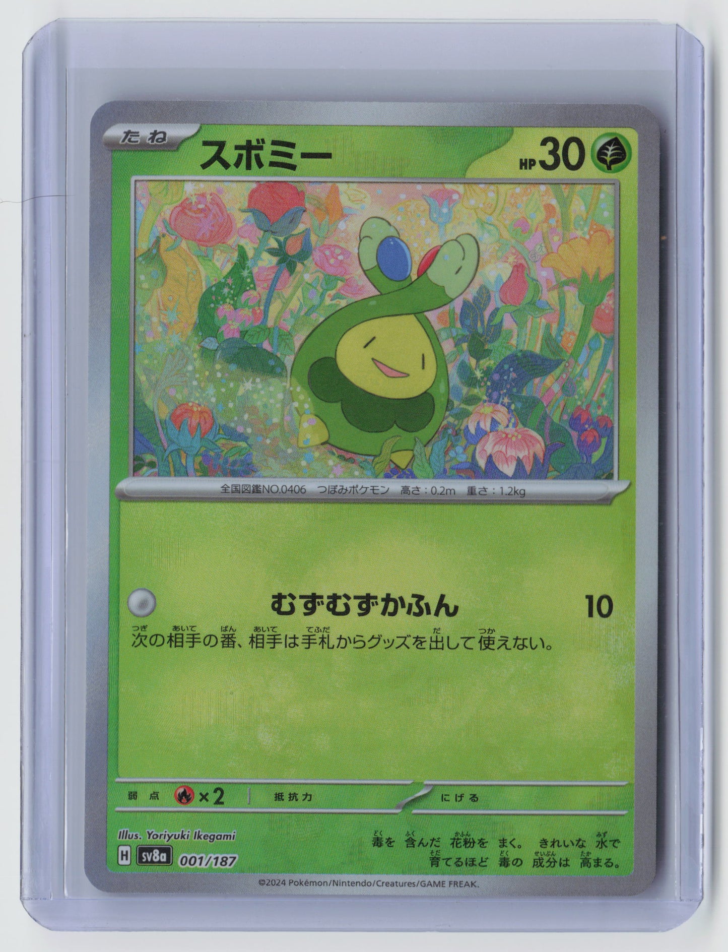 Budew (Master Ball Pattern) Common SV8a: Terastal Fest ex 001/187 NM
