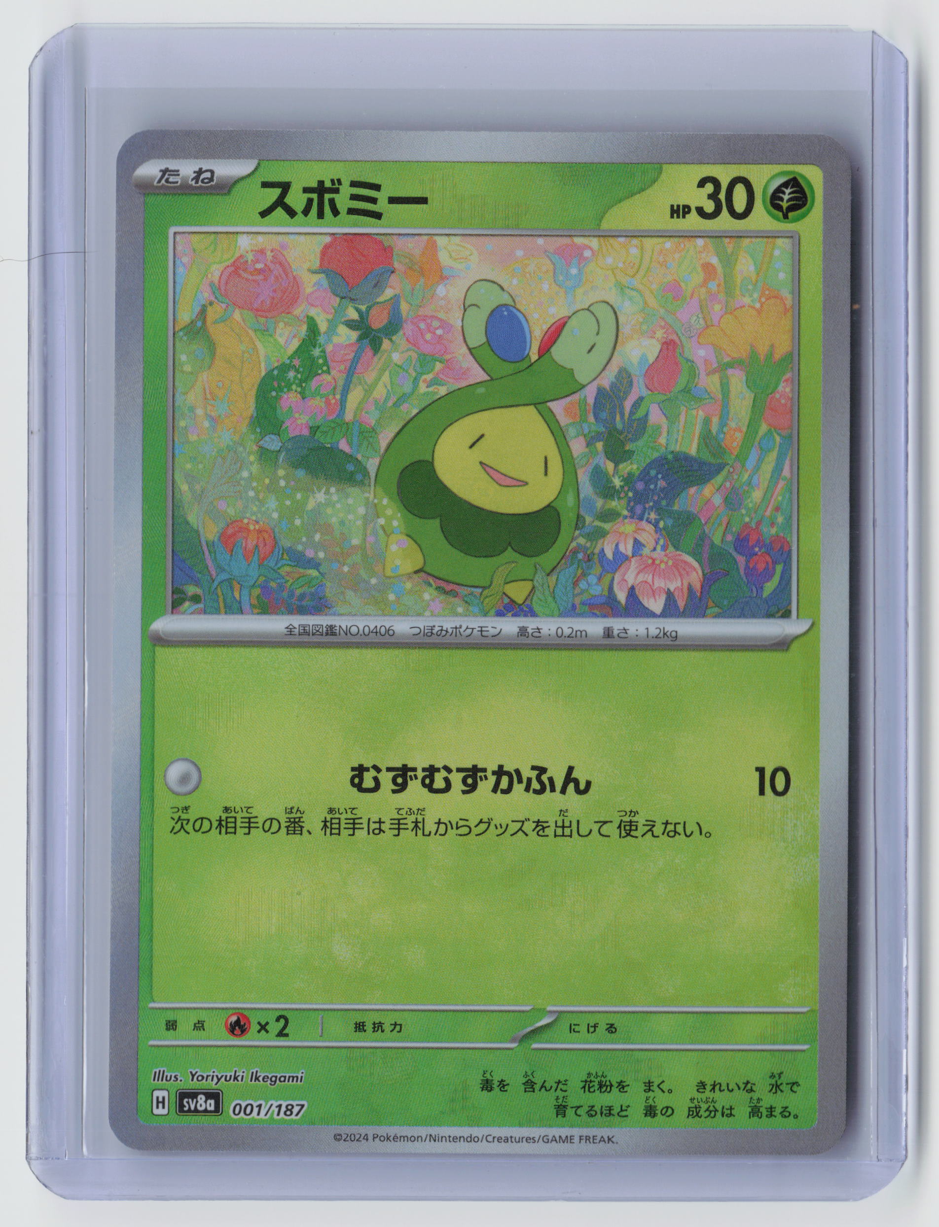 Budew (Master Ball Pattern) Common SV8a: Terastal Fest ex 001/187 NM