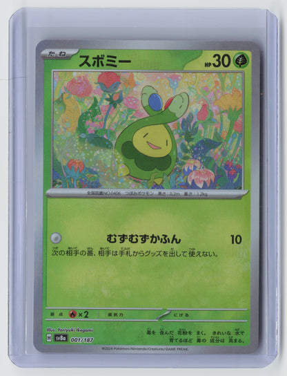 Budew (Master Ball Pattern) Common SV8a: Terastal Fest ex 001/187 NM