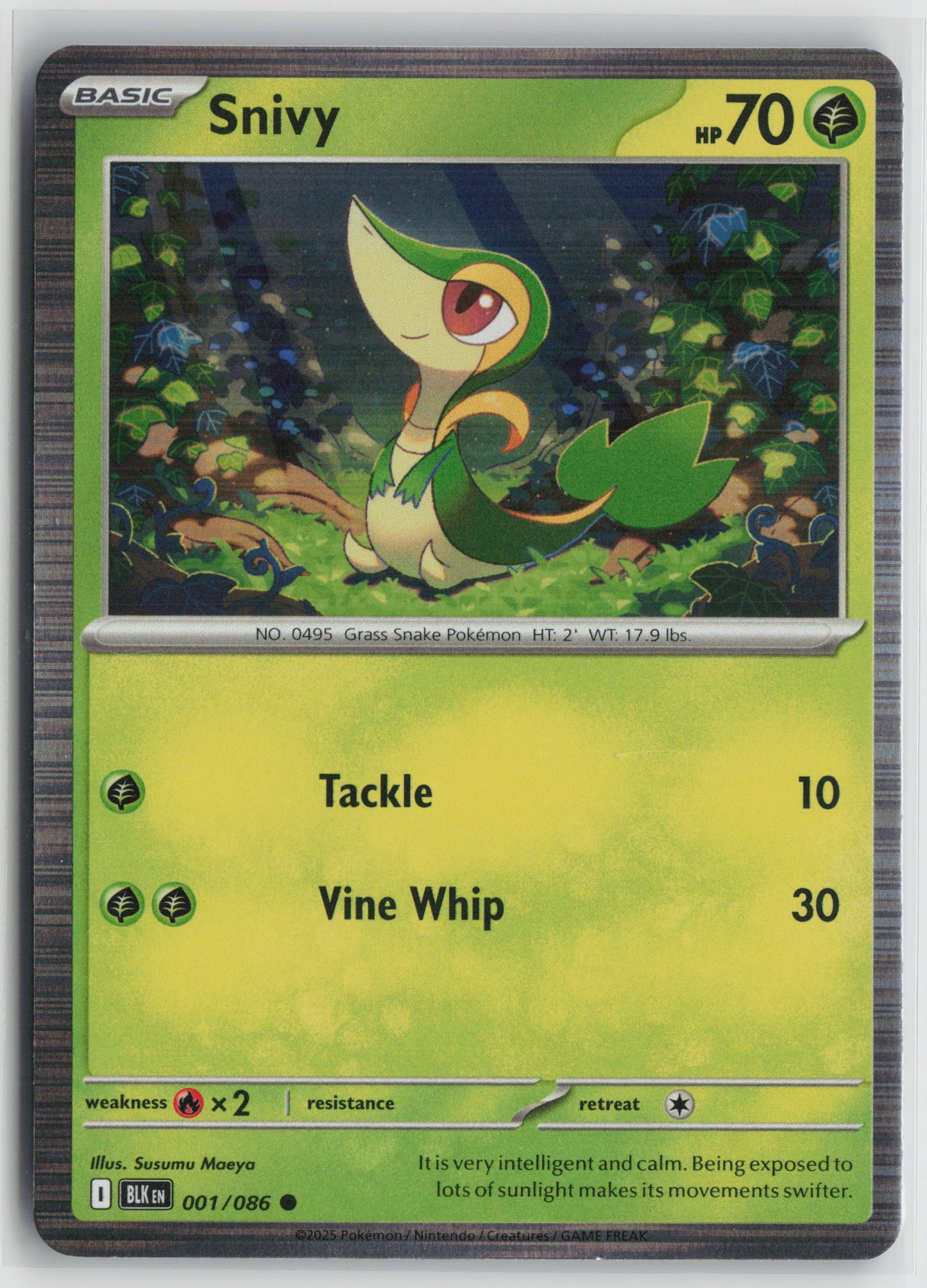 Snivy Common SV: Black Bolt 001/086 NM