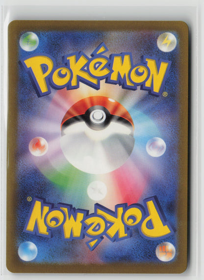 Charizard V - Double Rare Holo S12a 013/172 NM (Back)