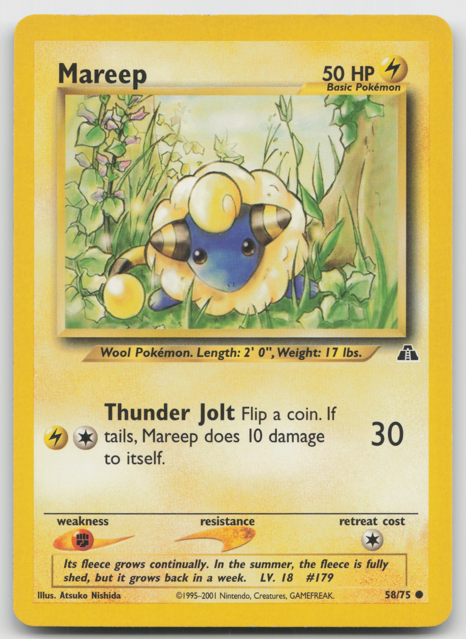 Mareep Common Unlimited N2 58/75 LP
